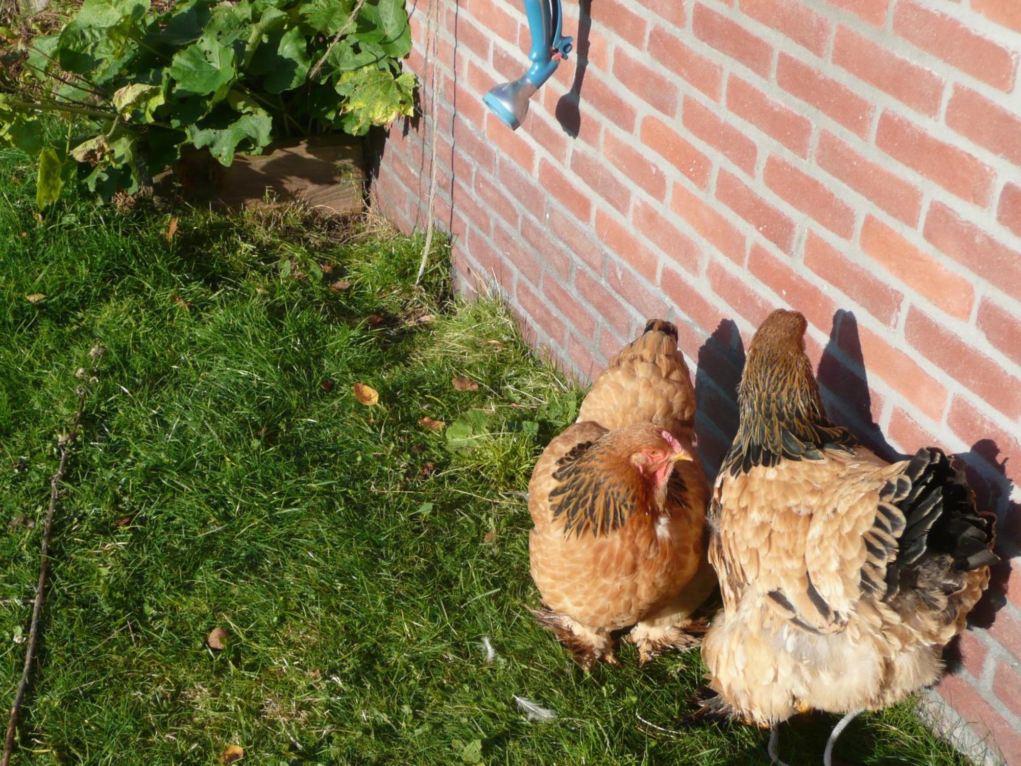 Slaopen En Stoet Bed and Breakfast Anderen Εξωτερικό φωτογραφία
